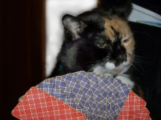 Bildschirmfoto_17-12-2025_161231_mail.proton.me