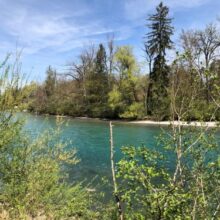 Bild zu Frieden und Oekologie_Aare bei Selhofenzopfen IMG_8860